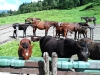 wp_20140818_010