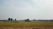 200518_3