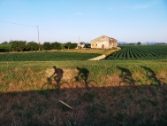 190622_3