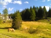 wp_20150907_061