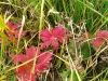 wp_20150910_056