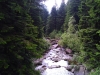 wp_20140621_010