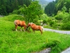 wp_20140621_012