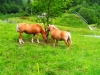 wp_20140621_013