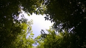wp_20170602_015