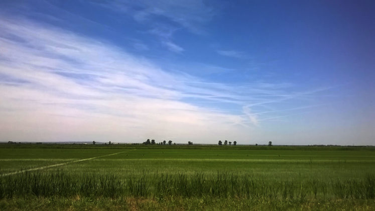 WP_20170609_026