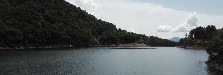 LagoDelio