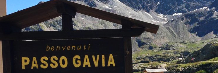 PassoGavia